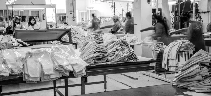 Export Textile - SCP